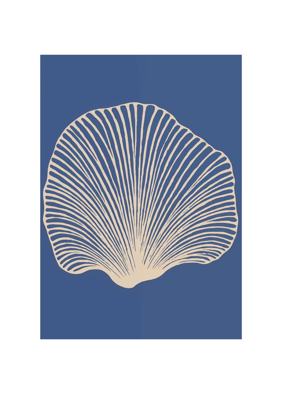 ALMEJA AZUL