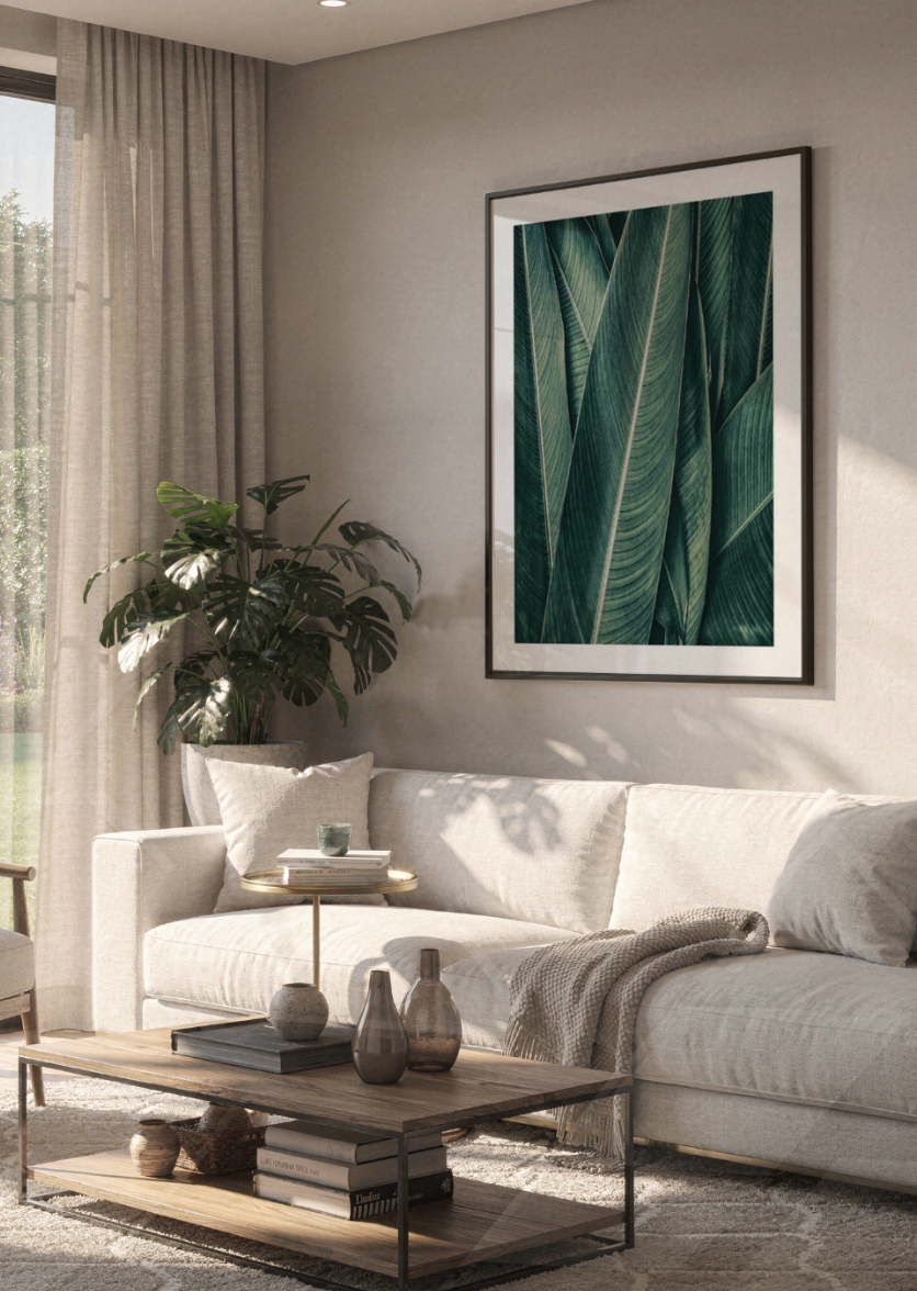 PLANTAS NO3 XXL