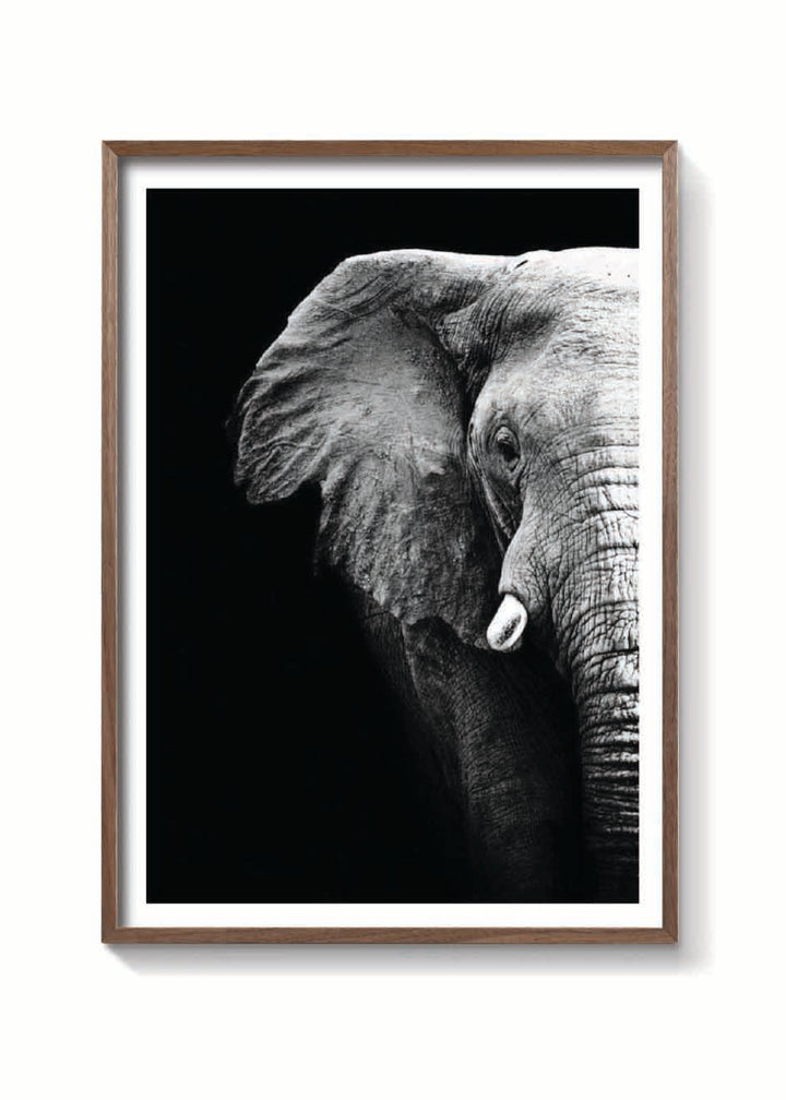 ELEFANTE